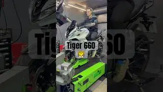 Неудачная конструкция. Настройка ЭБУ Triumph Tiger 660. Модификация выхлопной системы. Высокопрои...