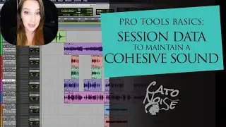Pro Tools Basics: Importing Session Data for a Cohesive Sound (Across an Artist&rsquo;s Repertoire)