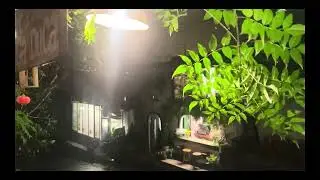 Mưa Khuya- Trịnh Sơn Truyền- Gã DuCa