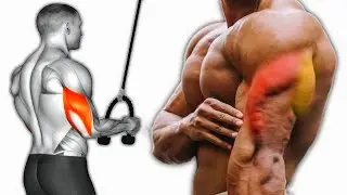 Wider Arms in Less Time &ndash; Top 5 Triceps Exercises