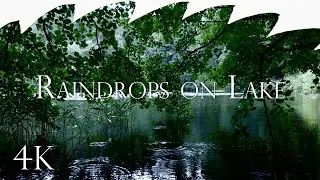Raindrops on Lake - Relaxing Rain Sounds No Music, Soothing 4K Nature, 3 Hours