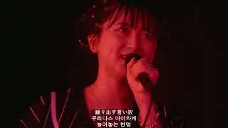 礼賛 - 超BUSY 한글자막 ( raisan )