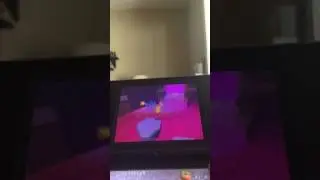 PMW3 (DS Version) Spectral Vale in 4:05
