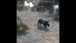 Advanced Motion Tracking #short# (Mr Hunter)