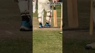 Top10 Tallest Cricters in the world 2024 |cricket|sports