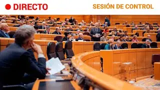 SENADO: SESIÓN DE CONTROL AL GOBIERNO, en la CÁMARA ALTA (11/03/25) | RTVE Noticias