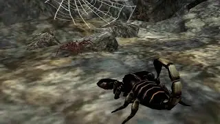 Scorpion Simulator gameplay #6 Spider hunting scorpion  (Targeting spiders only)