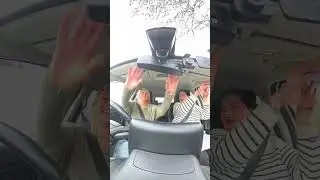 ADI part 3 Training; Cockpit Drill 
