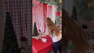 CHRISTMAS THEMED BIRTHDAY ✨🎁🎄