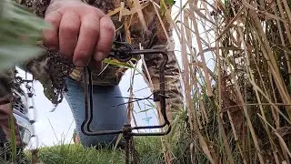 Time to start trapping!