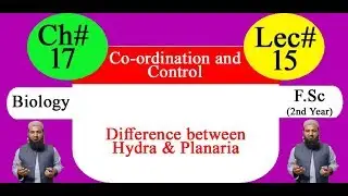 Biology Ch#17-Lecture#15 Difference between hydra and planaria  (F.Sc 2nd Year)