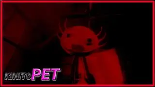 KinitoPet - FULL GAME