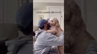 How to teach your dog to give you a hug&hellip;