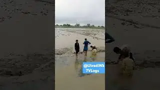 sindh Government tera buht shukria