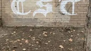 Oceanside Gangs
