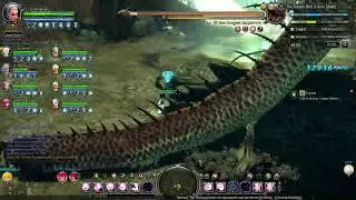 SDN Classic - DPS/Support Priest POV Dragon Stage