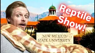 Reptile Show! New Mexico State University! Meet 