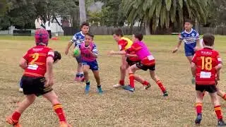26 Jul 25 - U9 Narraweena v Belrose