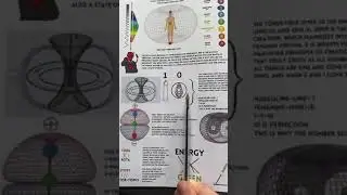Torus Field | Male and Female | Book of Wisdom #spiritualawakening ☯️✨