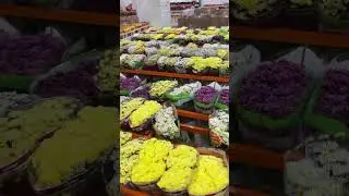Wow😍 #flowers #цветы #beutifull #best #москва #amazing #москвасити #fypシ #moscow #fyp #shorts