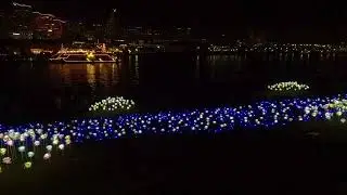 Yokohama International Port | December 2025. 07