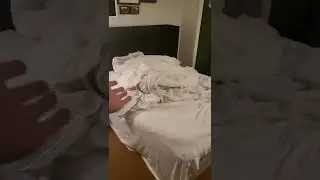 Park MGM Las Vegas Hotel Room Tour Standard 2 Queen Beds Room
