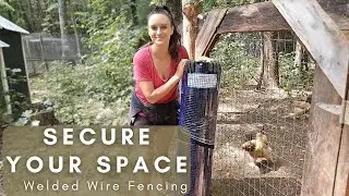 🐔 Protect Your Garden & Coop with Black 1/2