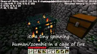 minecraft WTF place