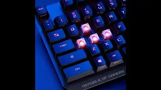 Ігрова клавіатура ASUS ROG Strix Scope RX вже скоро в Україні!