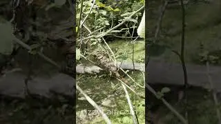 #старость #совет