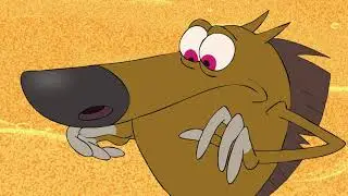 हिंदी Zig & Sharko - Mermaid's pup (S01E07) - Hindi Cartoons for Kids