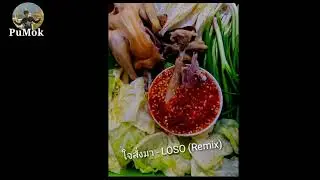 ใจสั่งมา - LOSO (remix)