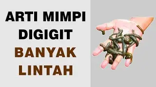 Arti Mimpi Digigit Banyak Lintah
