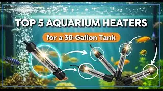 TOP 5 Best Aquarium Heater For 30 Gallon Tank 2026