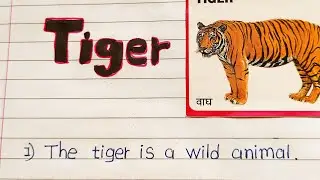 10 sentence about tiger in english || essay on tiger || english essay writing tiger || AJ Pathshala