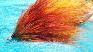 Tying a GT semper