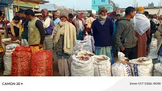 ০২/০২/২০২৬/ রোজ সোমবার/ পাবনা ধুলাউড়ি পেঁয়াজের পাইকারি হাট! পরিবর্তন পেঁয়াজের বাজার! 