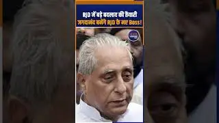 BIhar : Jagdanand Singh to Replace Lalu Yadav as RJD Party President?