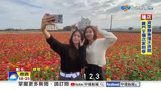 春神來了?! 