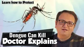 All you need to know about Dengue fever, by a Practising Doctor