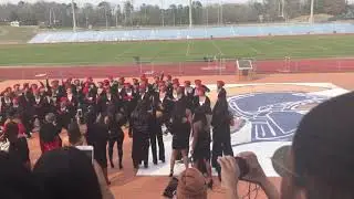VSU DELTA SIGMA THETA PROBATE SPRING 2019