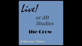 Live in dB Studios: Mar22 2020: the Crow