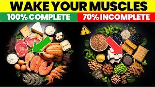 Animal vs. Plant Protein: Which Rebuilds Muscle Faster After 60?