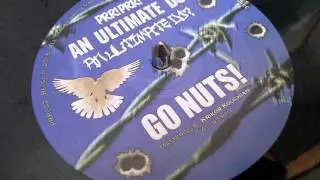 An Ultimate DJ - GO NUTS!