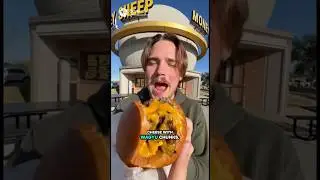 2,250 Calories Wagyu Cheesy Meat Shake? White Boy Boris tries the Texas John at Money Sheep Burger!