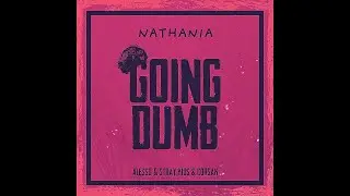 Alesso, Stray Kids & CORSAK - ‘Going Dumb’ Cover (커버)