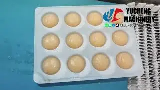 YC-166 Full Automatic Mochi Ice Cream Machine