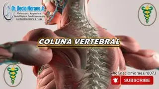 # Coluna Vertebral - S&eacute;rie trabalhos dos meus alunos - 22.01.2026