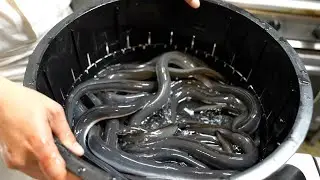 Amazing way to cook live eel in Tokyo,Japan.Japanese Food.'Nyorosuke'