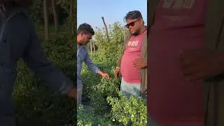 चांदपुर गए छोटे भाई से ✨✨✨🐘मिलने